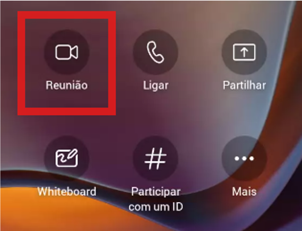 videoconf9